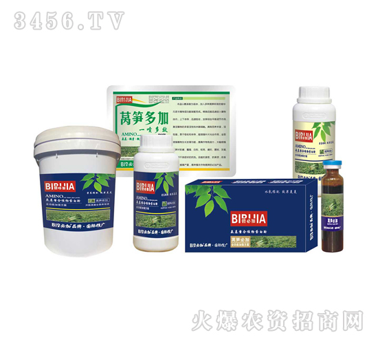 �n�S�ؼ�-�κ�����