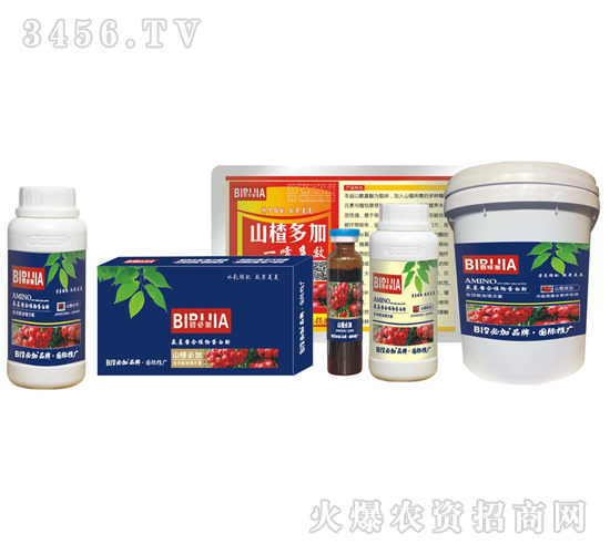 ɽ髱ؼ�-�κ�����