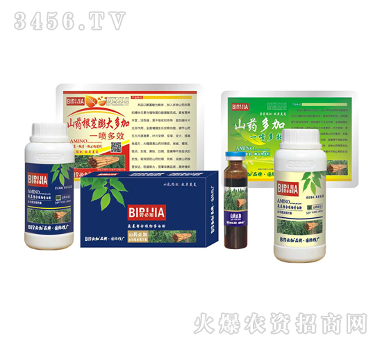 ɽˎ�ؼ�-�κ�����