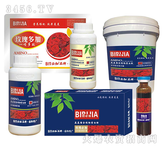 õ��ؼ�-�κ�����