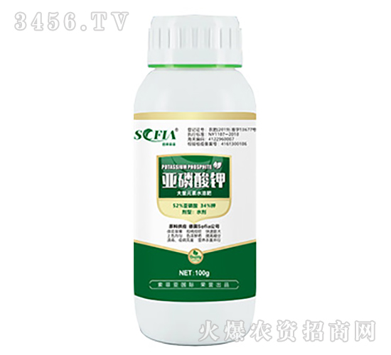 100g�������-���Ɓ�