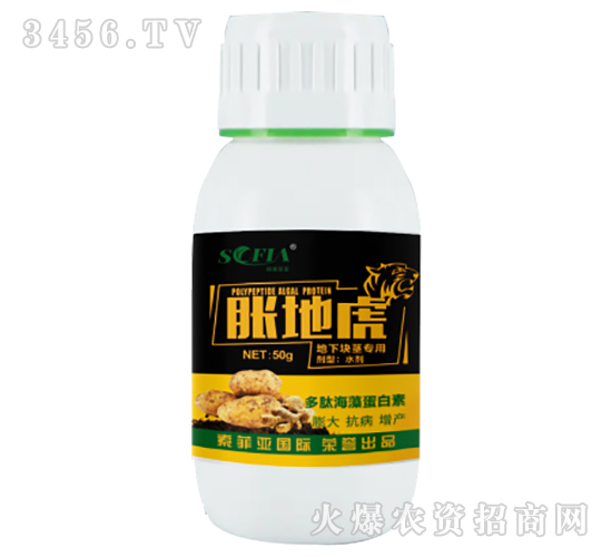 ���K�o���÷�-Û�ػ�-���Ɓ�