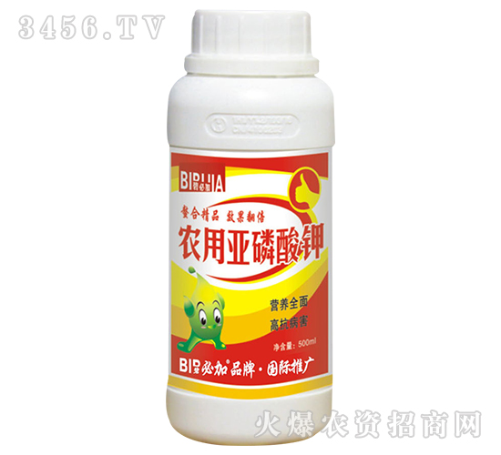 �r�Á������-�̱ؼ�-�κ�����