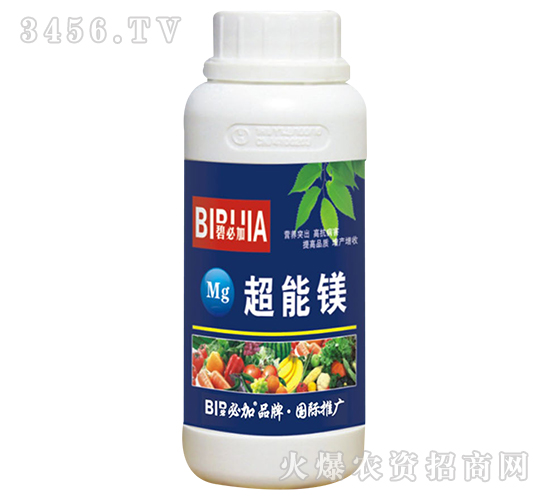 �����V-�̱ؼ�-�κ�����