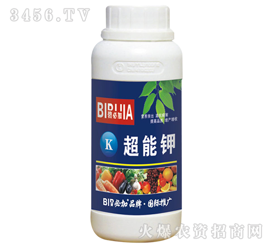 �����-�̱ؼ�-�κ�����