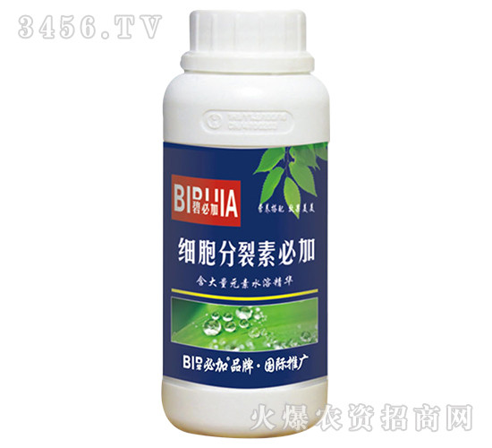 ��(x��)�������رؼ�-�κ�����