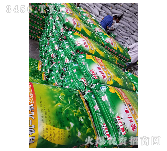 ���~�S�ЙC��-��������