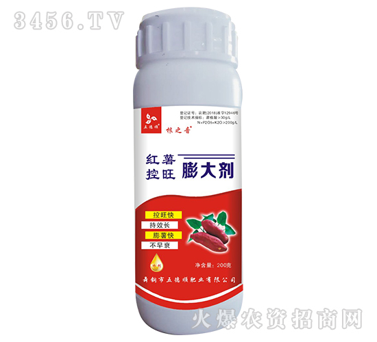 �t���������-��֮��-����