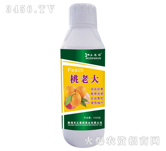 ���ϴ�-����