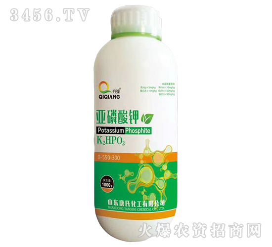 �������-�揊(qi��ng)-���ϻ���