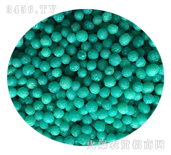 120���Ĥ����w��-�𚤻���