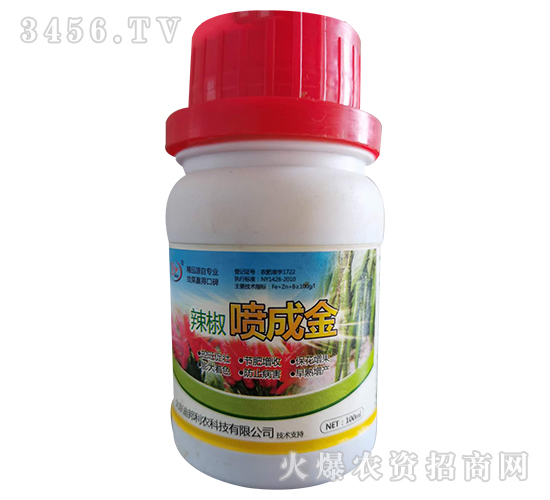 �������ɽ�-ؐ���ʘI(y��)