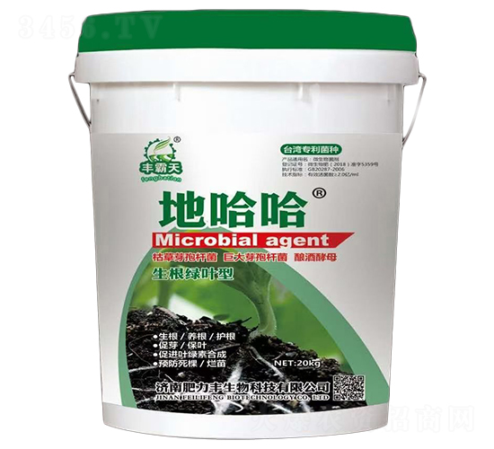 �����G�~��΢�������-�ع���-�����S