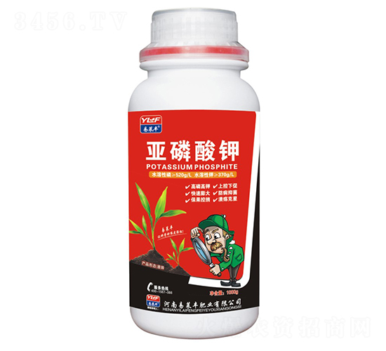 �������-���R�S