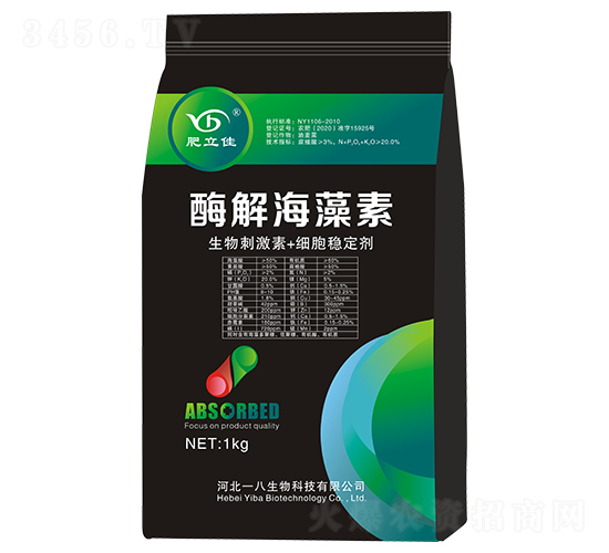 ø�⺣����-������-һ������