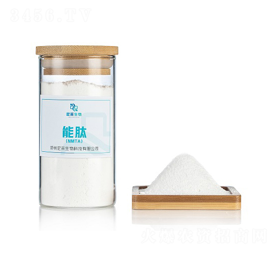 ���ģ�NMTA��-�������