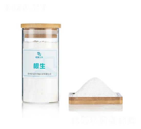 ����-�������