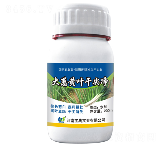 ���[�S�~�ɼ��-���䌍�I(y��)