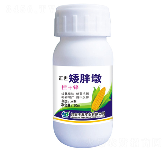 �������ֶգ���+�\��-���䌍�I(y��)