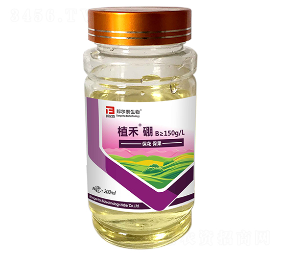 ֲ����-�̩