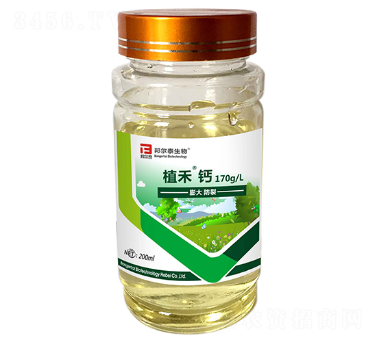 ֲ���}-�̩