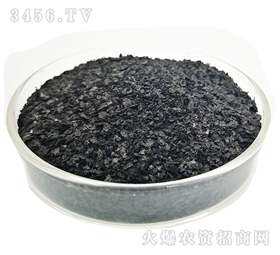 ���徫ԭ��-��ʥ