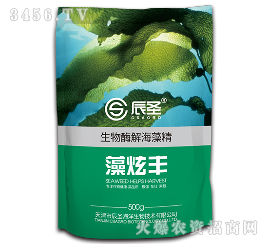 ����ø�⺣�徫-�����S-��ʥ