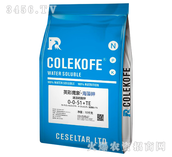 ���������0-0-51+TE-Ӣ������-����