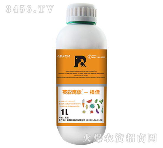 ����-Ӣ������-����