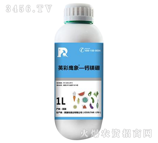 �}�V��-Ӣ������-����