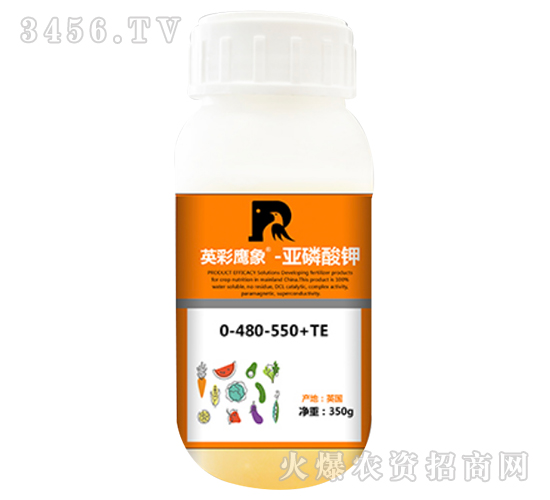 �������-Ӣ������-����