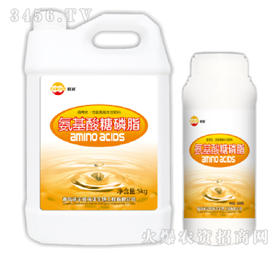 ����������֬-�Z����