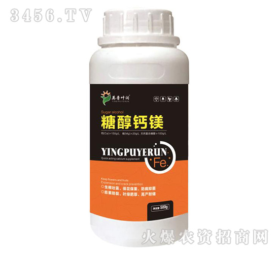 �Ǵ��}�V-Ӣ���~��(r��n)