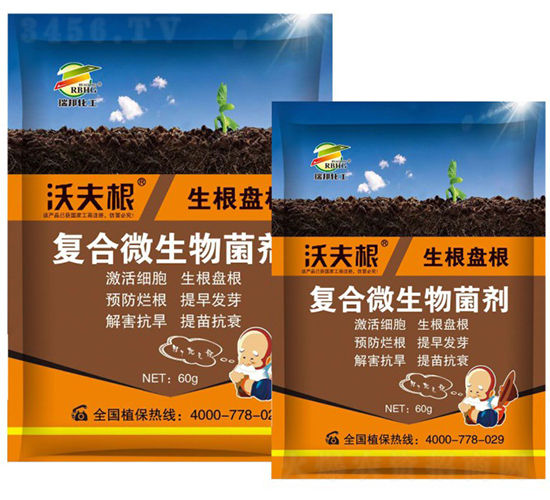 ��(f��)��΢�������-�ַ��-���`�S