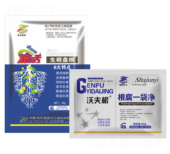 ����һ����-���������P(p��n)��-���`�S