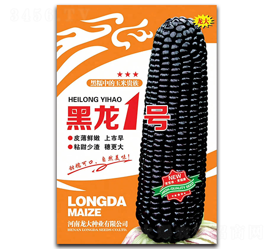 ����һ̖(h��o)-���׷N��-����N�I(y��)