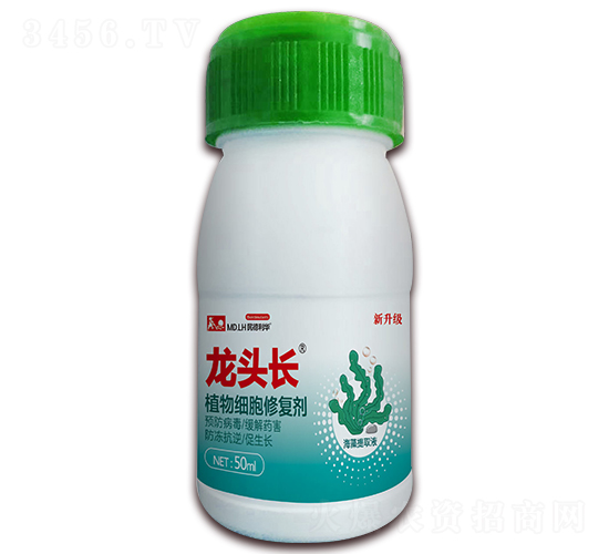 ֲ�：(x��)���ޏ�(f��)��-���^�L-������A