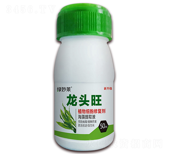 ֲ�：���ޏ�(f��)��-���^��-������A