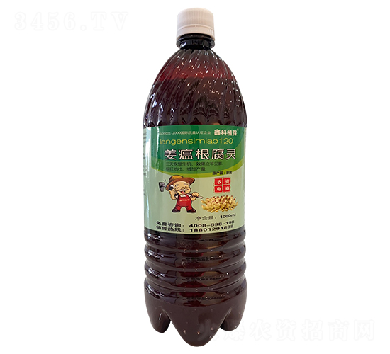 ���������`-�ο�ֲ��-������