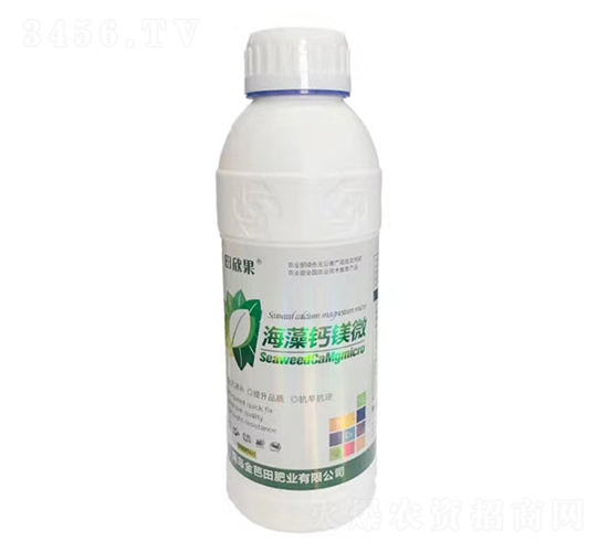 �����}�V΢-������-�����