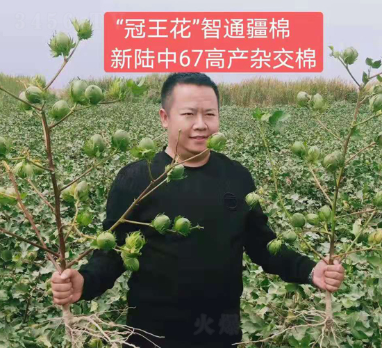 �����67�߮a(ch��n)�ޡ�Ч���D��-���SԪ