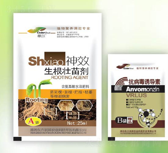 �������焩-�|������