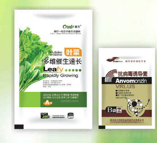 ��S�������L-�䠖-�|������