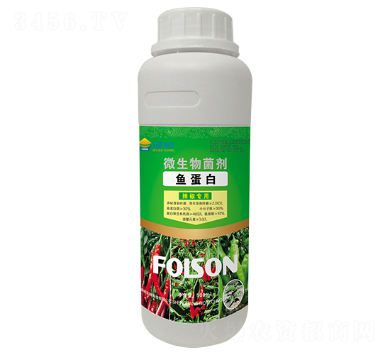 ���������~����-ʢ�Z����