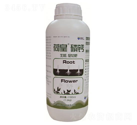 �ɻ����}-�װ�˹