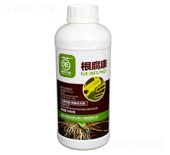 ������-���ִ��-��᷾G��