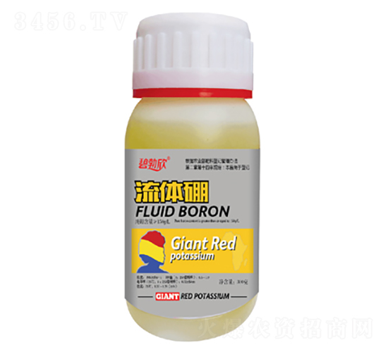 ���w��-�̲���-��(l��)�̷ʘI(y��)