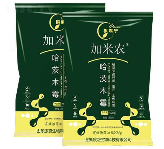 ����ľù-������-�����r(n��ng)