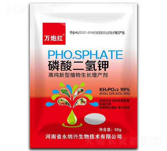 ��������-�f(w��n)�ڼt-���{�d