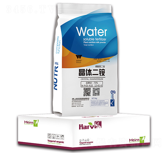 ���w���@12-61-0-�֠���(y��u)